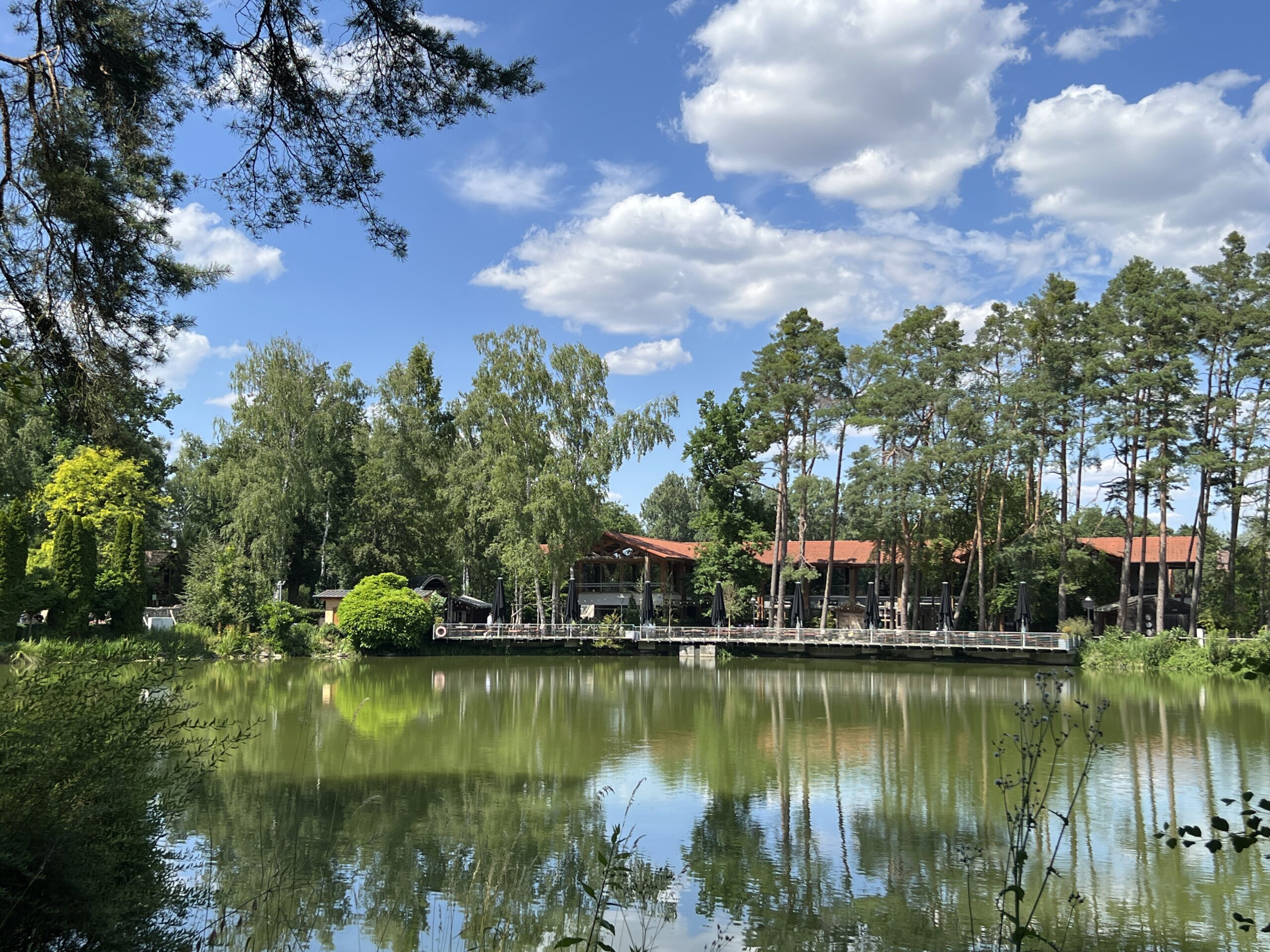 Read more about the article Gemeinsames Sommerfest